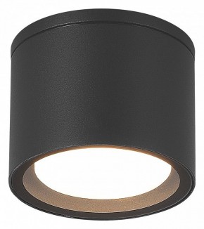 Накладной светильник ST-Luce Tubo SL9006.702.01 в Кудымкаре - kudymkar.ok-mebel.com | фото 2