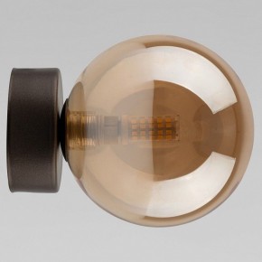 Накладной светильник TK Lighting Estera 10256 Estera в Кудымкаре - kudymkar.ok-mebel.com | фото