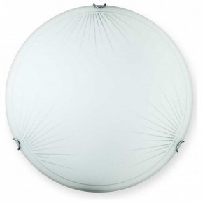 Накладной светильник TopLight Wifa TL9142Y-00WH в Кудымкаре - kudymkar.ok-mebel.com | фото