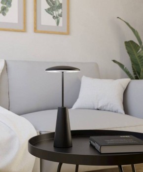 Настольная лампа декоративная Eglo PICCOLA 900925 в Кудымкаре - kudymkar.ok-mebel.com | фото 4