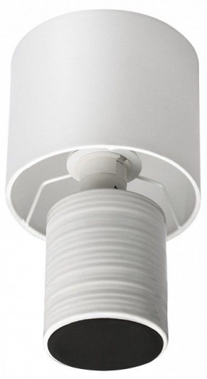 Настольная лампа декоративная Lumion Tuala 8144/1Т в Кудымкаре - kudymkar.ok-mebel.com | фото 3