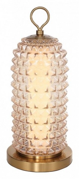 Настольная лампа декоративная ST-Luce SAGUARO SL6144.304.01 в Кудымкаре - kudymkar.ok-mebel.com | фото 2