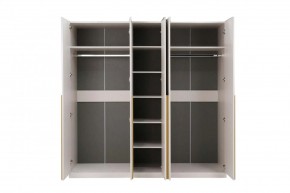 НИКОЛЬ 25 Шкаф 5-ти створчатый в Кудымкаре - kudymkar.ok-mebel.com | фото 3