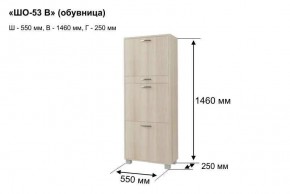 ШО-53 В тумба для обуви в Кудымкаре - kudymkar.ok-mebel.com | фото 8
