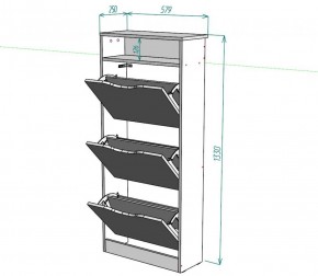 Обувница W10 (ДСС) в Кудымкаре - kudymkar.ok-mebel.com | фото