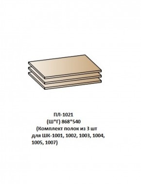 ПЛ-1021 (Комплект полок из 3 шт для ШК-1001, 1002, 1003, 1004, 1005, 1007) в Кудымкаре - kudymkar.ok-mebel.com | фото