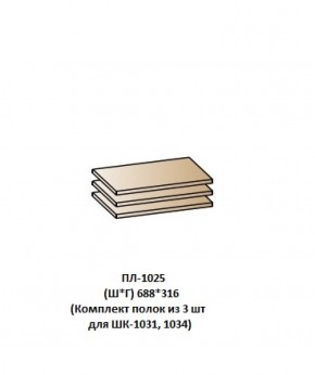 ПЛ-1025 (Комплект полок из 3 шт для ШК-1031, 1034) в Кудымкаре - kudymkar.ok-mebel.com | фото