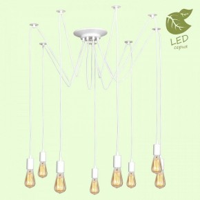 Подвесная люстра Lussole Shirley GRLSP-8173 в Кудымкаре - kudymkar.ok-mebel.com | фото 3
