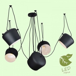 Подвесная люстра Lussole Shirley GRLSP-9919 в Кудымкаре - kudymkar.ok-mebel.com | фото