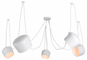Подвесная люстра Lussole Shirley LSP-8175 в Кудымкаре - kudymkar.ok-mebel.com | фото