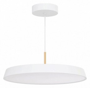 Подвесной светильник Arlight ELEGANT 033924(1) в Кудымкаре - kudymkar.ok-mebel.com | фото 2