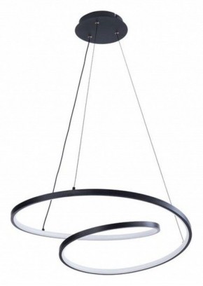 Подвесной светильник Arte Lamp Millo A3893SP-30BK в Кудымкаре - kudymkar.ok-mebel.com | фото 2