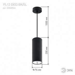 Подвесной светильник Эра  PL12 GX53 BK/SL в Кудымкаре - kudymkar.ok-mebel.com | фото 8