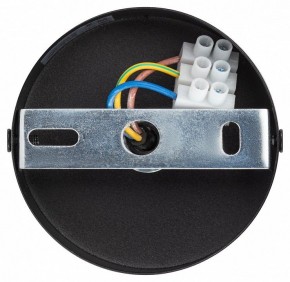 Подвесной светильник Эра  PL12 GX53 BK/SL в Кудымкаре - kudymkar.ok-mebel.com | фото 9