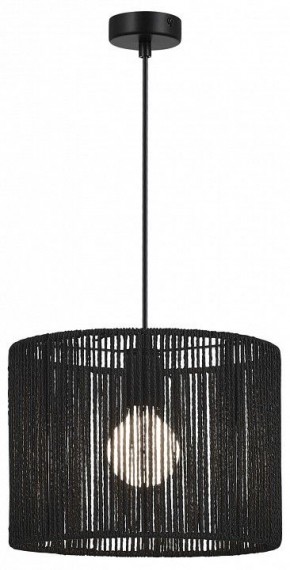 Подвесной светильник EVOLUCE ETTAN SLE6024-403-01 в Кудымкаре - kudymkar.ok-mebel.com | фото 2