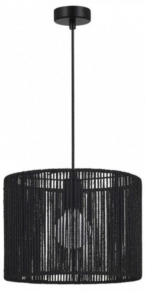 Подвесной светильник EVOLUCE ETTAN SLE6024-403-01 в Кудымкаре - kudymkar.ok-mebel.com | фото 4