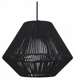 Подвесной светильник EVOLUCE ETTAN SLE6025-403-01 в Кудымкаре - kudymkar.ok-mebel.com | фото