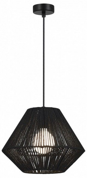 Подвесной светильник EVOLUCE ETTAN SLE6025-403-01 в Кудымкаре - kudymkar.ok-mebel.com | фото 2