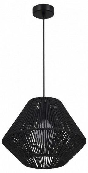 Подвесной светильник EVOLUCE ETTAN SLE6025-403-01 в Кудымкаре - kudymkar.ok-mebel.com | фото 4