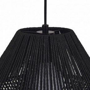 Подвесной светильник EVOLUCE ETTAN SLE6025-403-01 в Кудымкаре - kudymkar.ok-mebel.com | фото 7
