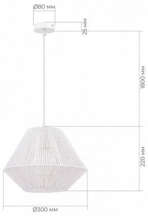 Подвесной светильник EVOLUCE ETTAN SLE6025-503-01 в Кудымкаре - kudymkar.ok-mebel.com | фото 6