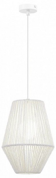Подвесной светильник EVOLUCE ETTAN SLE6025-513-01 в Кудымкаре - kudymkar.ok-mebel.com | фото