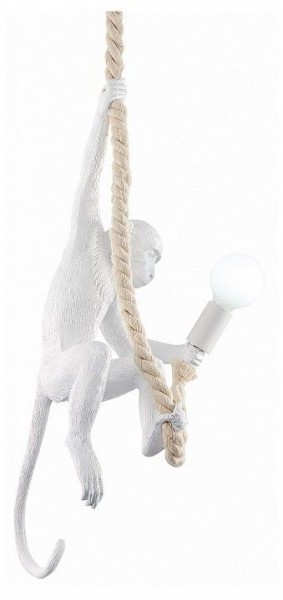 Подвесной светильник EVOLUCE Tenato SLE115103-01 в Кудымкаре - kudymkar.ok-mebel.com | фото 2