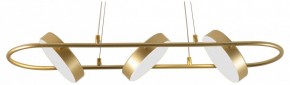 Подвесной светильник F-promo Abris 4677-3P в Кудымкаре - kudymkar.ok-mebel.com | фото