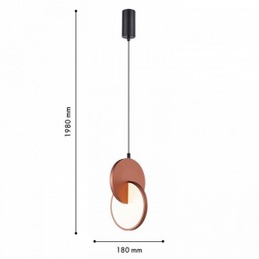Подвесной светильник F-promo Grahan 4607-1P в Кудымкаре - kudymkar.ok-mebel.com | фото 5