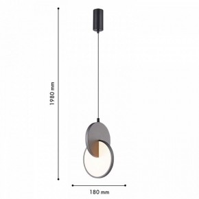 Подвесной светильник F-promo Grahan 4609-1P в Кудымкаре - kudymkar.ok-mebel.com | фото 4