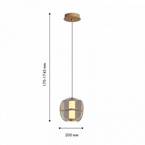 Подвесной светильник Favourite Fada 4625-1P в Кудымкаре - kudymkar.ok-mebel.com | фото 5