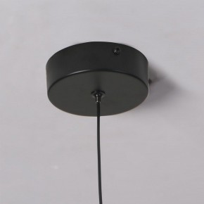Подвесной светильник Favourite Wilet 4656-1P в Кудымкаре - kudymkar.ok-mebel.com | фото 10
