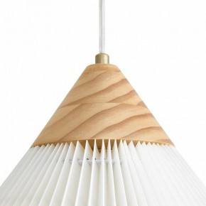 Подвесной светильник Freya Kinsley FR5533PL-01BS в Кудымкаре - kudymkar.ok-mebel.com | фото 8
