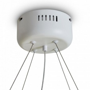 Подвесной светильник Freya Rain FR5546PL-L60W в Кудымкаре - kudymkar.ok-mebel.com | фото 9