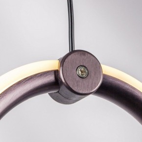 Подвесной светильник Lightstar Caramello 796329 в Кудымкаре - kudymkar.ok-mebel.com | фото 10