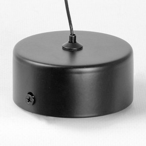 Подвесной светильник Lussole Blount LSP-7356 в Кудымкаре - kudymkar.ok-mebel.com | фото 6