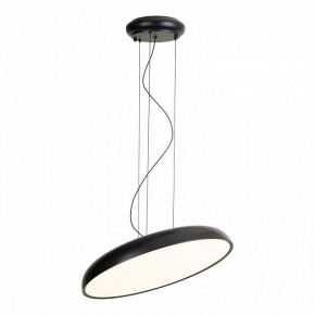 Подвесной светильник Lussole Crook LSP-7360 в Кудымкаре - kudymkar.ok-mebel.com | фото 2