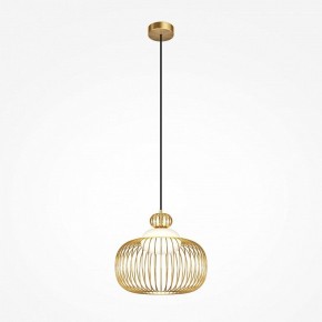 Подвесной светильник Maytoni Levitation MOD376PL-01G в Кудымкаре - kudymkar.ok-mebel.com | фото 2