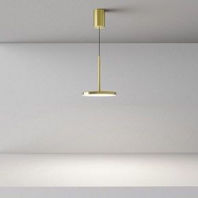 Подвесной светильник Maytoni Plato P076PL-L12W4K-BS в Кудымкаре - kudymkar.ok-mebel.com | фото 4