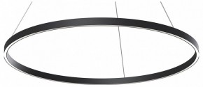 Подвесной светильник Maytoni Rim MOD058PL-L54BK в Кудымкаре - kudymkar.ok-mebel.com | фото