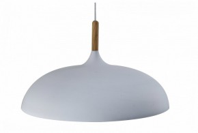 Подвесной светильник Moderli Hygo V11447-1P в Кудымкаре - kudymkar.ok-mebel.com | фото