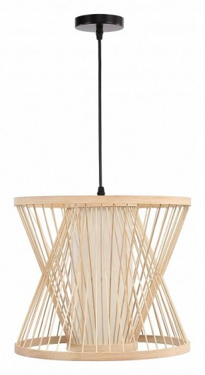 Подвесной светильник ST-Luce ALMA SL6241.503.01 в Кудымкаре - kudymkar.ok-mebel.com | фото 3