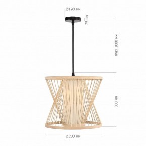 Подвесной светильник ST-Luce ALMA SL6241.503.01 в Кудымкаре - kudymkar.ok-mebel.com | фото 5