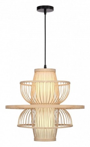 Подвесной светильник ST-Luce ALMA SL6241.513.01 в Кудымкаре - kudymkar.ok-mebel.com | фото 2