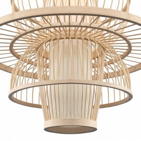 Подвесной светильник ST-Luce ALMA SL6241.513.01 в Кудымкаре - kudymkar.ok-mebel.com | фото 6