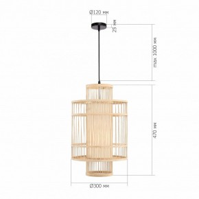 Подвесной светильник ST-Luce ALMA SL6241.523.01 в Кудымкаре - kudymkar.ok-mebel.com | фото 5
