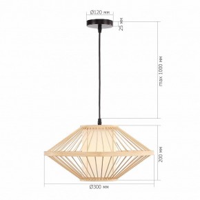 Подвесной светильник ST-Luce ALMA SL6241.533.01 в Кудымкаре - kudymkar.ok-mebel.com | фото 5