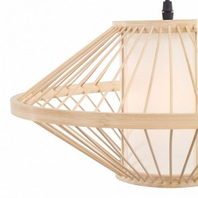 Подвесной светильник ST-Luce ALMA SL6241.533.01 в Кудымкаре - kudymkar.ok-mebel.com | фото 6