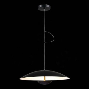 Подвесной светильник ST-Luce Armonico SL6502.403.01 в Кудымкаре - kudymkar.ok-mebel.com | фото 4