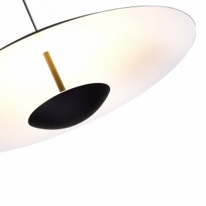 Подвесной светильник ST-Luce Armonico SL6502.403.01 в Кудымкаре - kudymkar.ok-mebel.com | фото 5